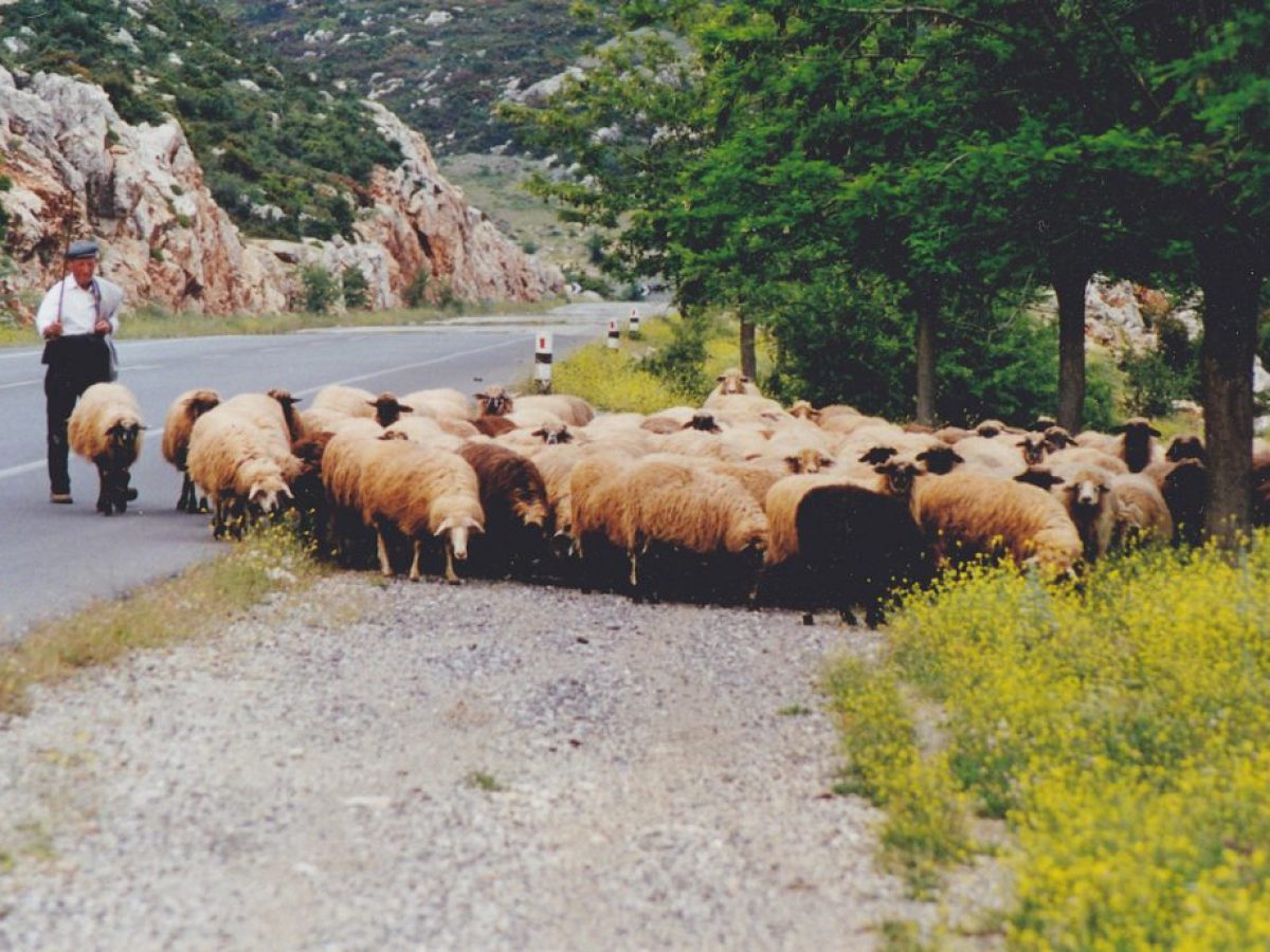 Εξελίξεις για την ευλογιά μετά τη σύσκεψη στο Μαξίμου