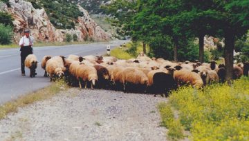 Εξελίξεις για την ευλογιά μετά τη σύσκεψη στο Μαξίμου