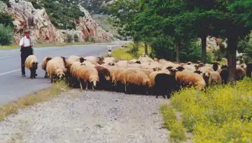 &Epsilon;&xi;&epsilon;&lambda;ί&xi;&epsilon;&iota;&sigmaf; &gamma;&iota;&alpha; &tau;&eta;&nu; &epsilon;&upsilon;&lambda;&omicron;&gamma;&iota;ά &mu;&epsilon;&tau;ά &tau;&eta; &sigma;ύ&sigma;&kappa;&epsilon;&psi;&eta; &sigma;&tau;&omicron; &Mu;&alpha;&xi;ί&mu;&omicron;&upsilon;