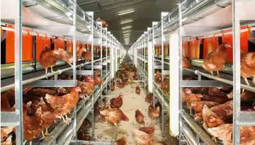 &Epsilon;&xi;&alpha;ί&rho;&epsilon;&sigma;&eta; &tau;&eta;&sigmaf; &pi;&tau;&eta;&nu;&omicron;&tau;&rho;&omicron;&phi;ί&alpha;&sigmaf; &alpha;&pi;ό &tau;&eta; &sigma;&upsilon;&mu;&phi;&omega;&nu;ί&alpha; &Epsilon;.&Epsilon;.-Mercosur &zeta;&eta;&tau;&omicron;ύ&nu; &omicron;&iota; &epsilon;&lambda;&lambda;&eta;&nu;&iota;&kappa;έ&sigmaf; &epsilon;&pi;&iota;&chi;&epsilon;&iota;&rho;ή&sigma;&epsilon;&iota;&sigmaf; &tau;&omicron;&upsilon; &kappa;&lambda;ά&delta;&omicron;&upsilon;