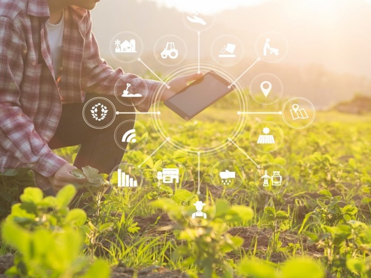 Γεωργία: Λιγότερες φάρμες, περισσότερη τεχνολογία