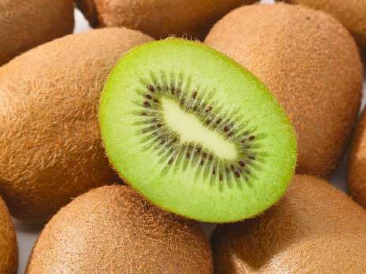 Γεωργικές προειδοποιήσεις για τα Ακτινίδια