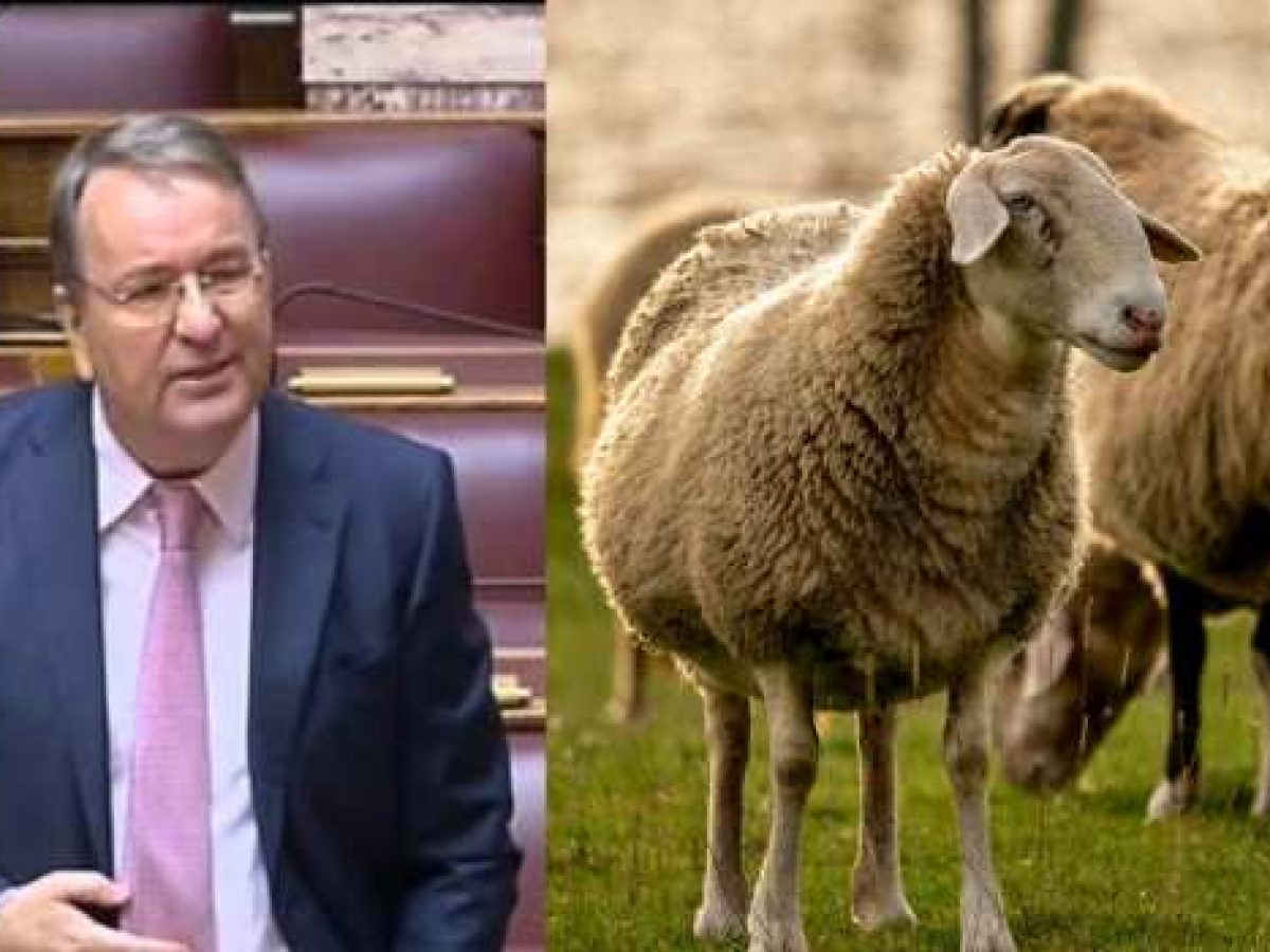 Γιώργος Καρασμάνης: «Πόσο προνοητικός και πόσο επίκαιρος, ακόμη και σήμερα, με όσα συμβαίνουν…»