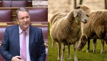 &Gamma;&iota;ώ&rho;&gamma;&omicron;&sigmaf; &Kappa;&alpha;&rho;&alpha;&sigma;&mu;ά&nu;&eta;&sigmaf;: &laquo;&Pi;ό&sigma;&omicron; &pi;&rho;&omicron;&nu;&omicron;&eta;&tau;&iota;&kappa;ό&sigmaf; &kappa;&alpha;&iota; &pi;ό&sigma;&omicron; &epsilon;&pi;ί&kappa;&alpha;&iota;&rho;&omicron;&sigmaf;, &alpha;&kappa;ό&mu;&eta; &kappa;&alpha;&iota; &sigma;ή&mu;&epsilon;&rho;&alpha;, &mu;&epsilon; ό&sigma;&alpha; &sigma;&upsilon;&mu;&beta;&alpha;ί&nu;&omicron;&upsilon;&nu;&hellip;&raquo;