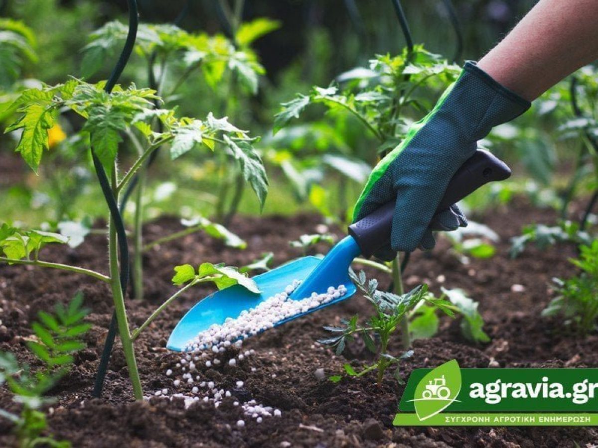 Η ΕΕ προτείνει αναστολή δασμών στα λιπάσματα