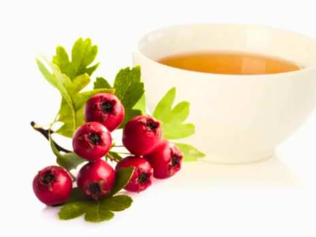 Οι θεραπευτικές ιδιότητες του κράταιγου και πώς να τον χρησιμοποιήσετε