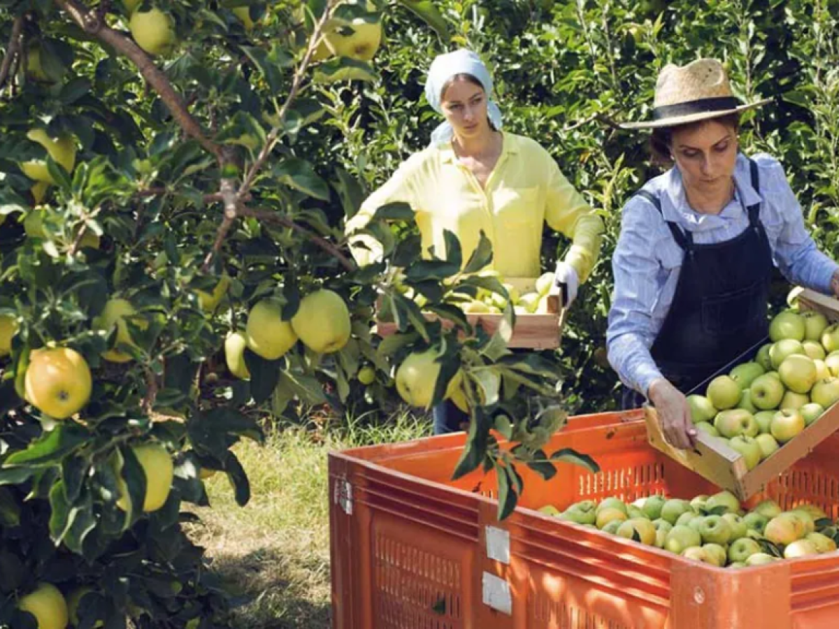 Ύφεση για το πλεόνασμα του εμπορικού ισοζυγίου αγροδιατροφικών της ΕΕ το Νοέμβριο 2025