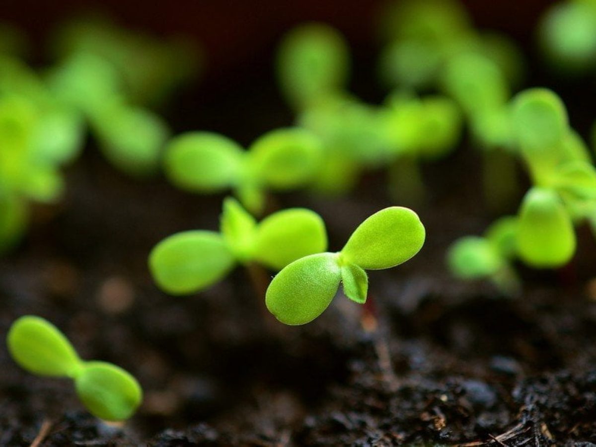 Οικολογικά Σχήματα – Πληρωμές το Μάιο