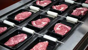 &Eta;&Pi;&Alpha;: &Alpha;&nu;&alpha;&tau;&rho;&omicron;&pi;ή &sigma;&tau;&eta; &delta;&iota;&alpha;&tau;&rho;&omicron;&phi;ή &mu;&epsilon; &pi;&rho;&omicron;&tau;&epsilon;&rho;&alpha;&iota;ό&tau;&eta;&tau;&alpha; &sigma;&tau;&omicron; &kappa;&rho;έ&alpha;&sigmaf;