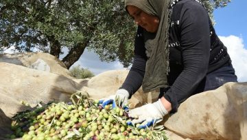 Υποτιμολογημένο το έξτρα  παρθένο ελαιόλαδο με την  Ισπανία 1,2 εκατ. τόνους, με 3,20 ευρώ εξάγει η Τυνησία