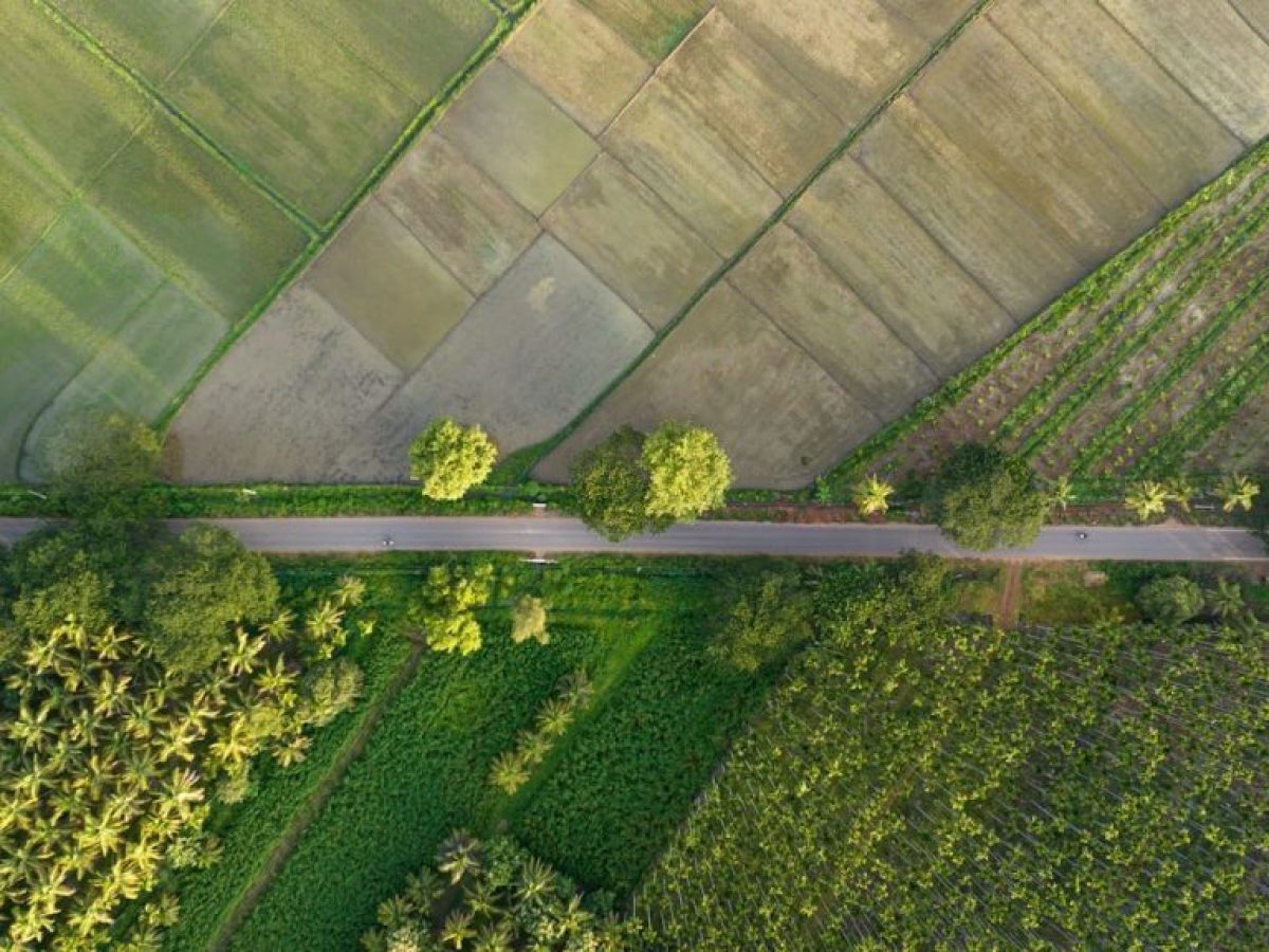 Κασαπίδης: Αποκλεισμός ιδιόκτητων καλλιεργήσιμων εκτάσεων από τις αγροτικές ενισχύσεις