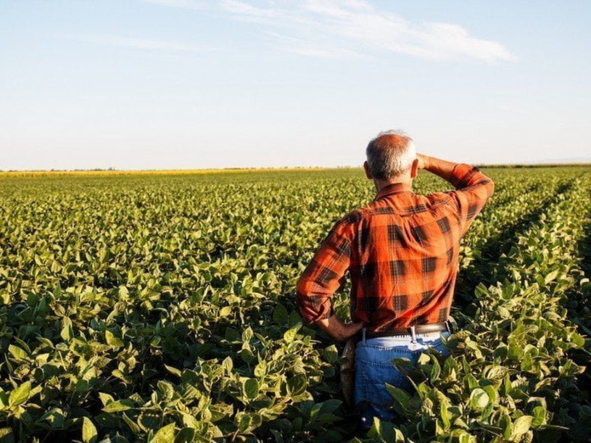 Καταργείται η Αναδιανεµητική Ενίσχυση στην επόμενη ΚΑΠ