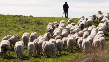 Κτηνοτρόφοι Κρήτης: Κατανομή βοσκοτόπων ακούνε και κατανομή δε βλέπουν!