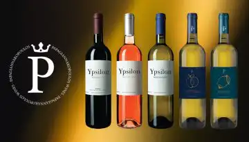 &Mu;&epsilon; &nu;έ&alpha; &epsilon;&mu;&phi;ά&nu;&iota;&sigma;&eta;, &alpha;&lambda;&lambda;ά ί&delta;&iota;&alpha; &phi;&iota;&lambda;&omicron;&sigma;&omicron;&phi;ί&alpha; &tau;&alpha; Ypsilon Papagiannakopoulos