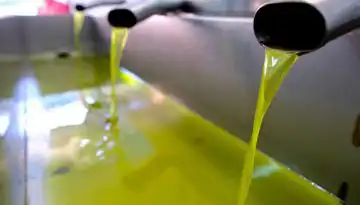 &Mu;&epsilon; &rho;&omega;&gamma;&mu;έ&sigmaf; &tau;&omicron; &sigma;ύ&sigma;&tau;&eta;&mu;&alpha; &epsilon;&lambda;έ&gamma;&chi;&omicron;&upsilon; &gamma;&iota;&alpha; &tau;&omicron; &epsilon;&lambda;&alpha;&iota;ό&lambda;&alpha;&delta;&omicron; &ndash; &Alpha;&pi;&omicron;&kappa;&alpha;&lambda;&upsilon;&pi;&tau;&iota;&kappa;ά &sigma;&tau;&omicron;&iota;&chi;&epsilon;ί&alpha; (&gamma;&rho;&alpha;&phi;ή&mu;&alpha;&tau;&alpha;)