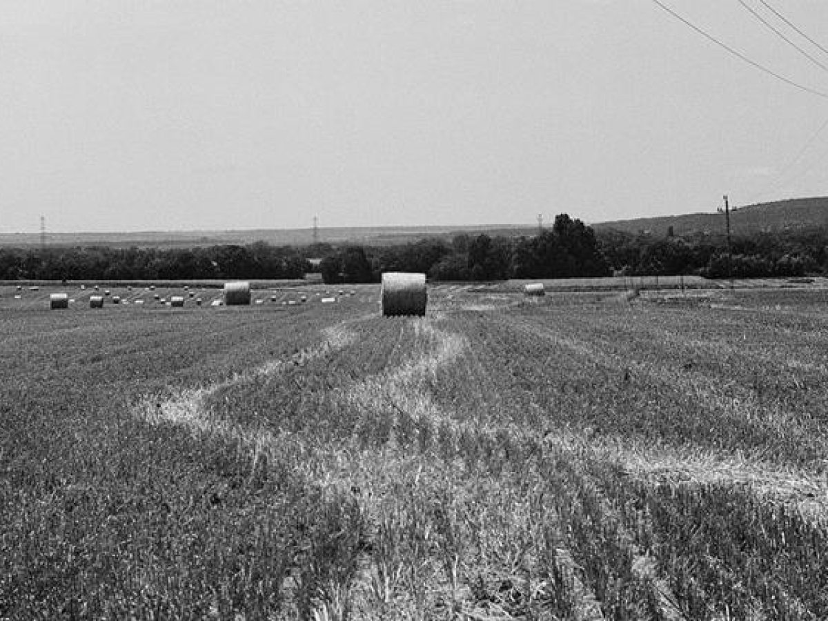 Μιλούν οι αριθμοί για τα μεγάλα προβλήματα των αγροτών  και του γεωργικού τομέα αλλά και τα χειρότερα που έρχονται