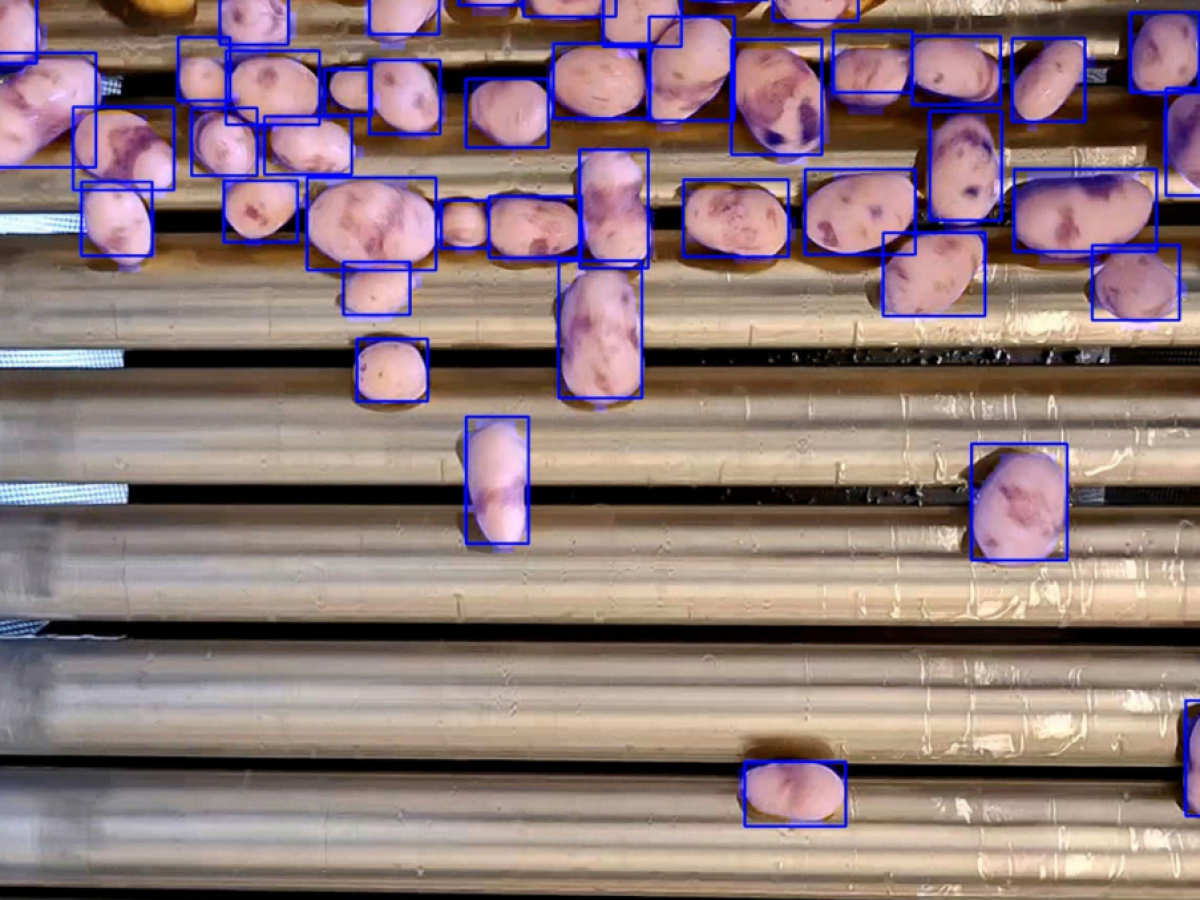 Μείωση αποβλήτων μέσω της «επιχειρησιακής ευφυΐας»