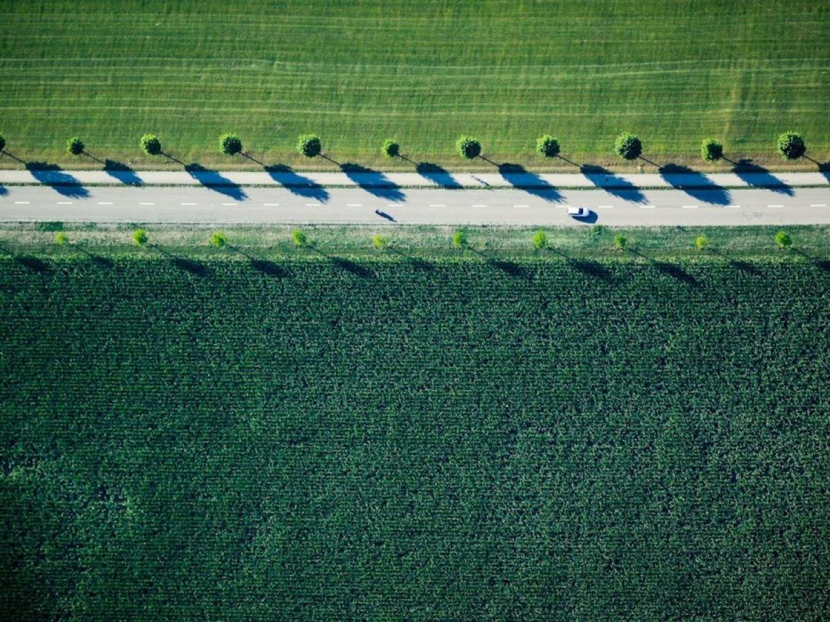 Νέα λύση για ΑΤΑΚ και φθηνό ρεύμα για όσους οφείλουν παίζει να δώσει ο Μητσοτάκης στους αγρότες