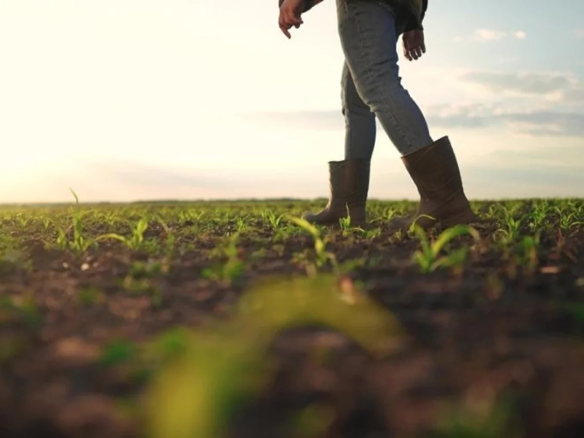 Νέοι Αγρότες – Καθαρό πριμ 180.000€