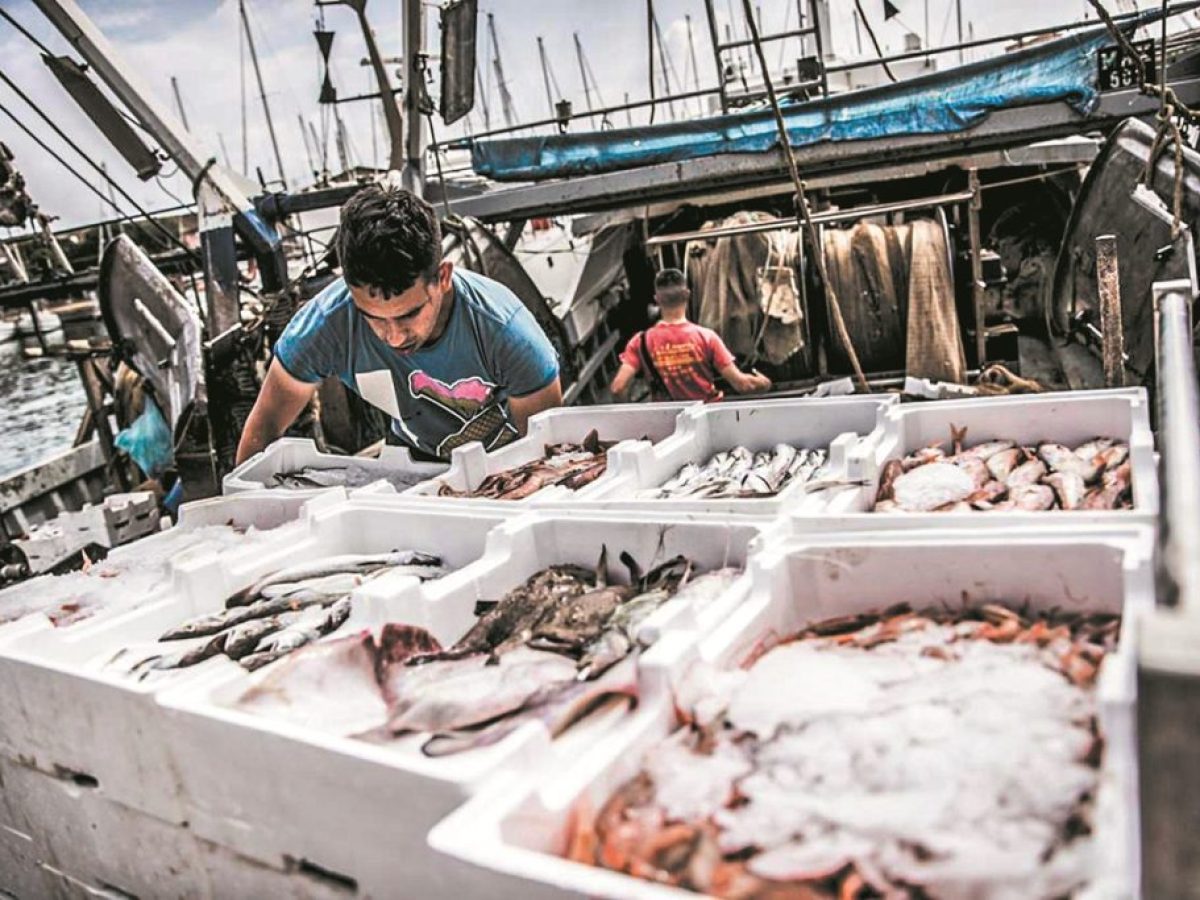ΟΗΕ: Τα αποθέματα ψαριών σε Μεσόγειο και Μαύρη Θάλασσα δείχνουν σημάδια ανάκαμψης, αλλά οι απειλές παραμένουν