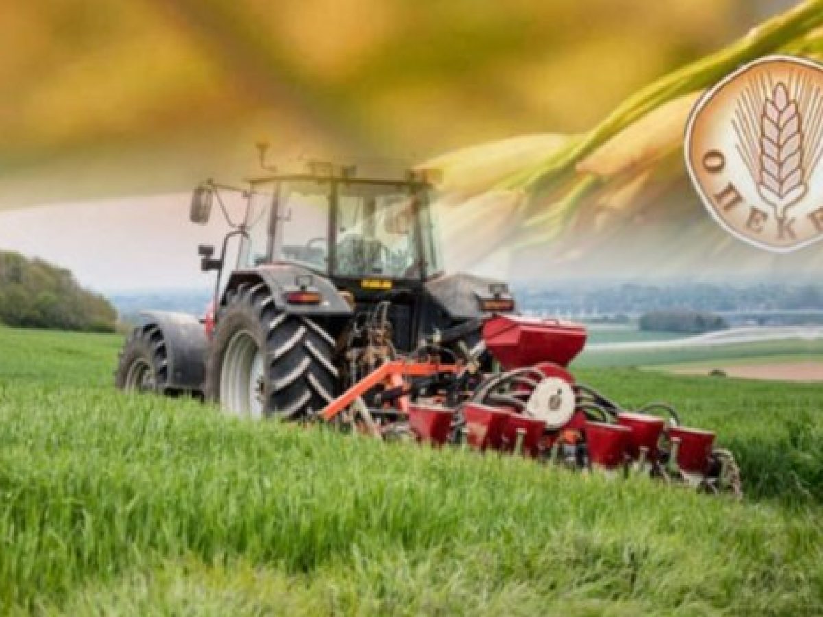 ΟΠΕΚΕΠΕ: Στα όριά τους οι παραγωγοί – Ζητούν να ανοίξει άμεσα η πλατφόρμα για τις συνδεδεμένες ενισχύσεις