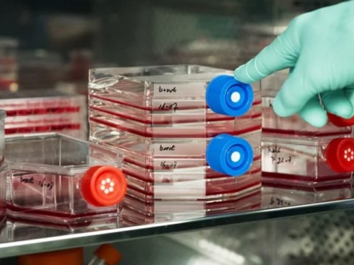 Ουγγαρία και Ιταλία μπλοκάρουν το εργαστηριακό κρέας