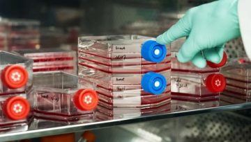 Ουγγαρία και Ιταλία μπλοκάρουν το εργαστηριακό κρέας