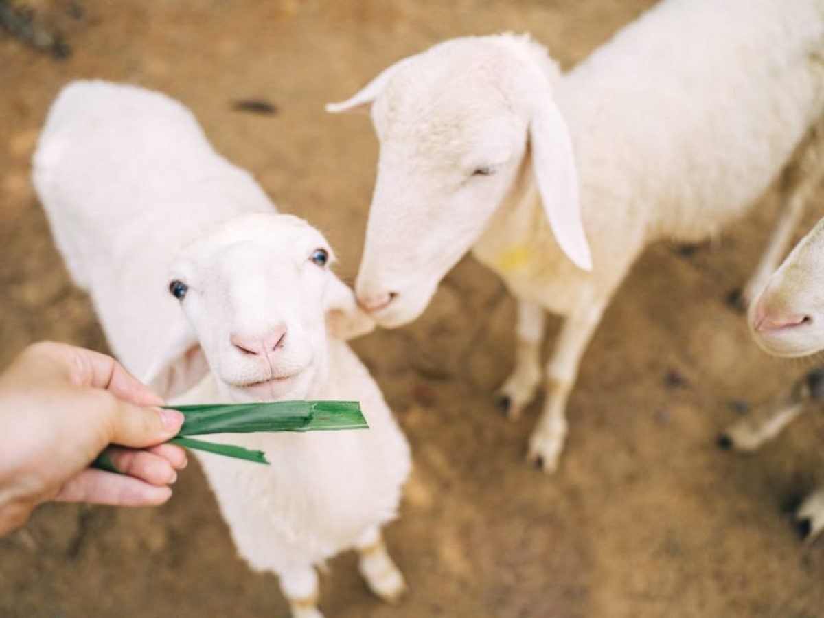 Παγκρήτιο Συντονιστικό: Δεν αποδεχόμαστε στοχοποίηση της Κρήτης