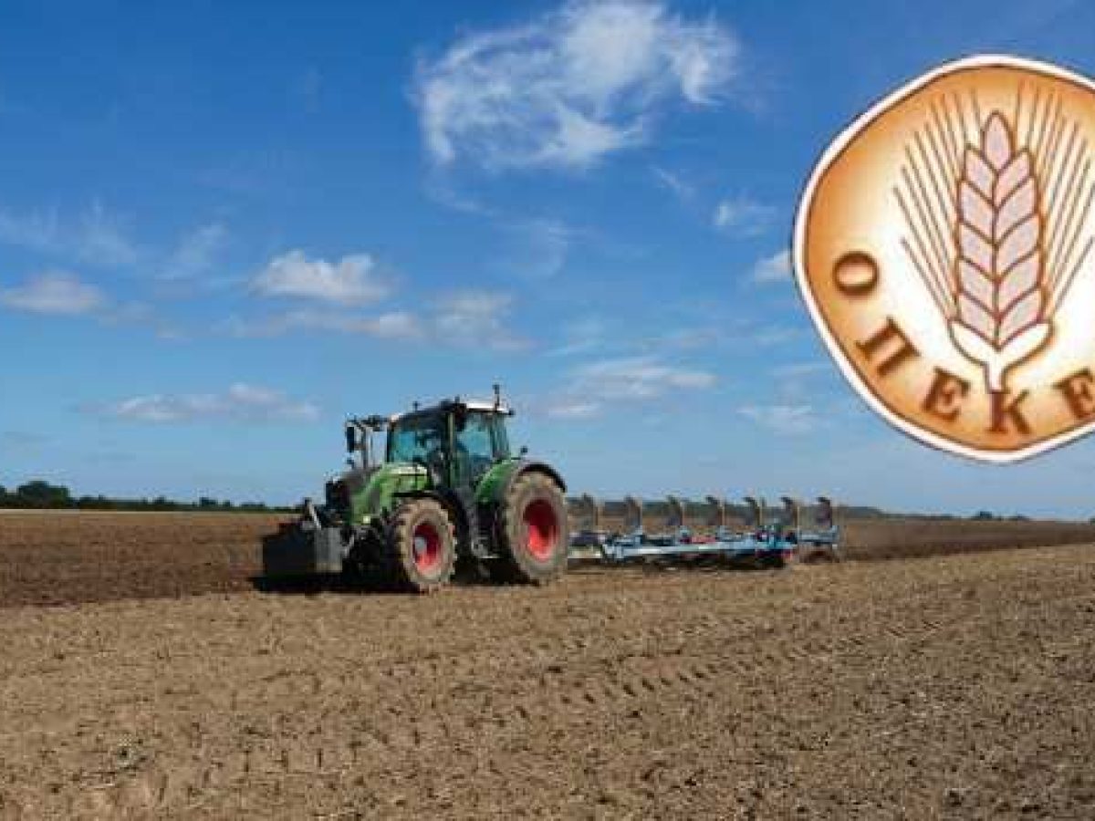 Παράνομες επιδοτήσεις: Νέα σημαντικά ευρήματα του ΟΠΕΚΕΠΕ στην Κρήτη