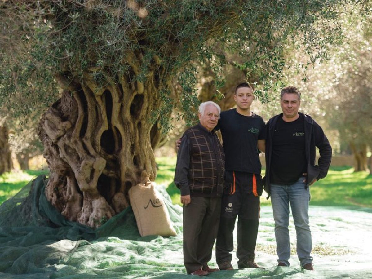 Πέντε γενιές στον ελαιώνα και έμφαση στον αγροτουρισμό για την Lianos Olive Estate