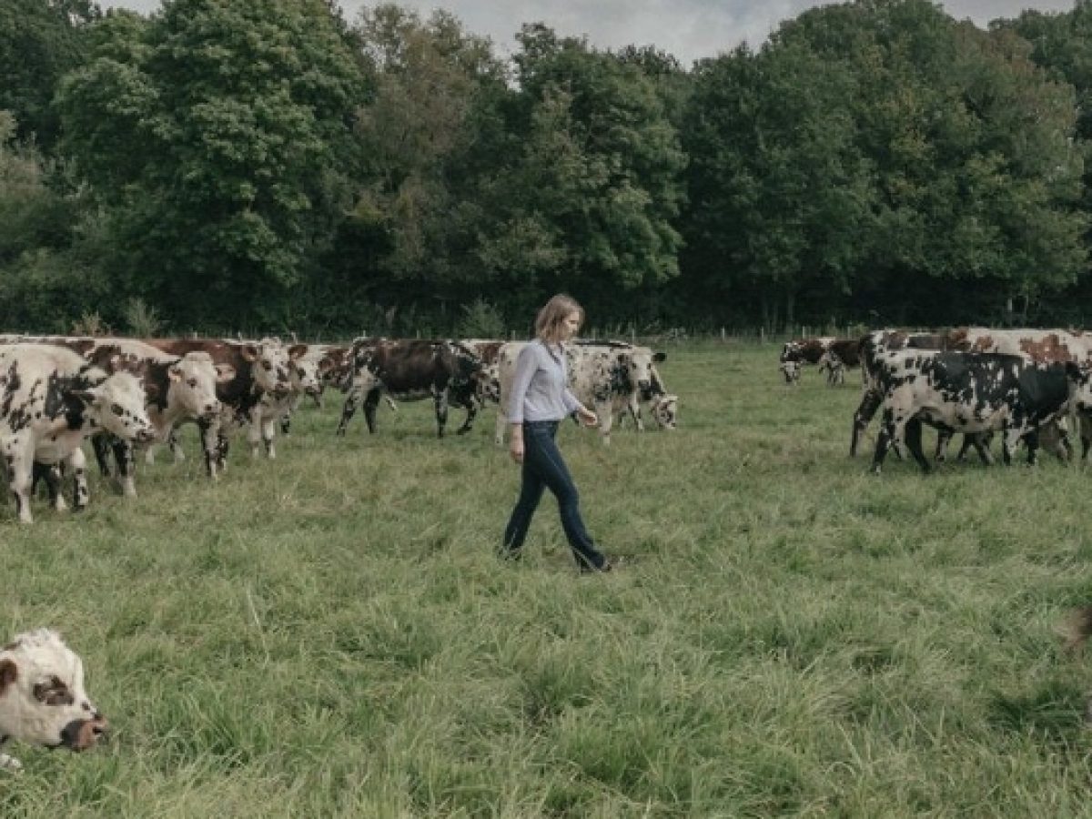 Πίεση χωρίς ανάσα για αγρότες- Παράγουν ακριβά, πουλούν φθηνά