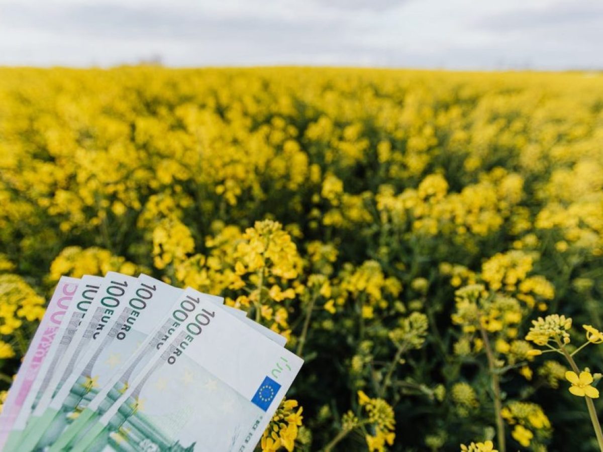 Πιο κοντά ένα νέο κύμα αγροτικών πληρωμών, πετρέλαιο, ρεύμα φέρνει η επιμονή των μπλόκων