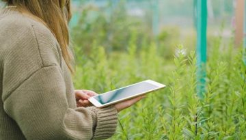 Πληρωμή για όλο το χωράφι όπου υπάρχει αποδεδειγμένη κατοχή τουλάχιστον 20%