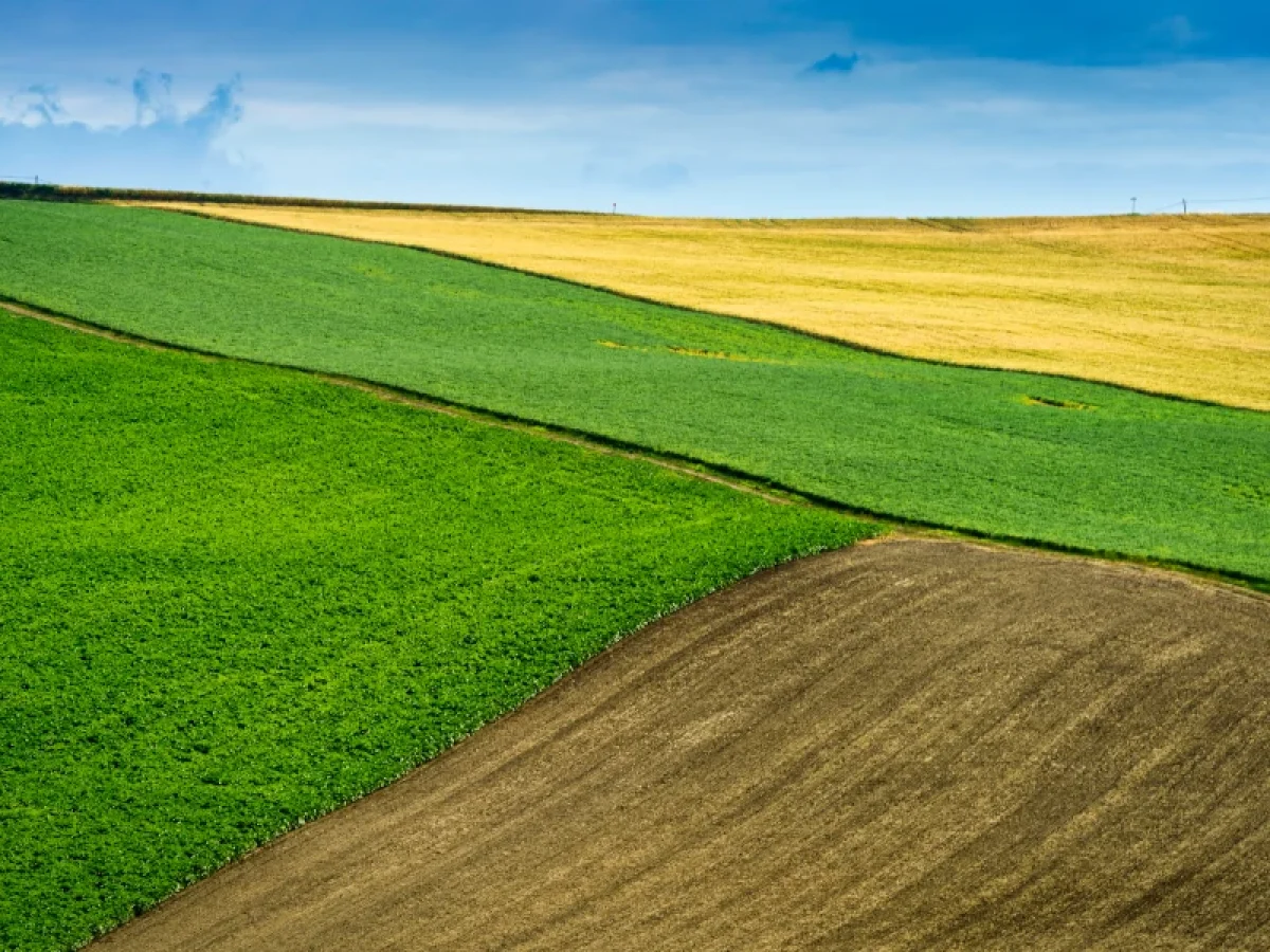 Πώς θα λειτουργεί ο νέος μηχανισμός ελέγχου της ΑΑΔΕ