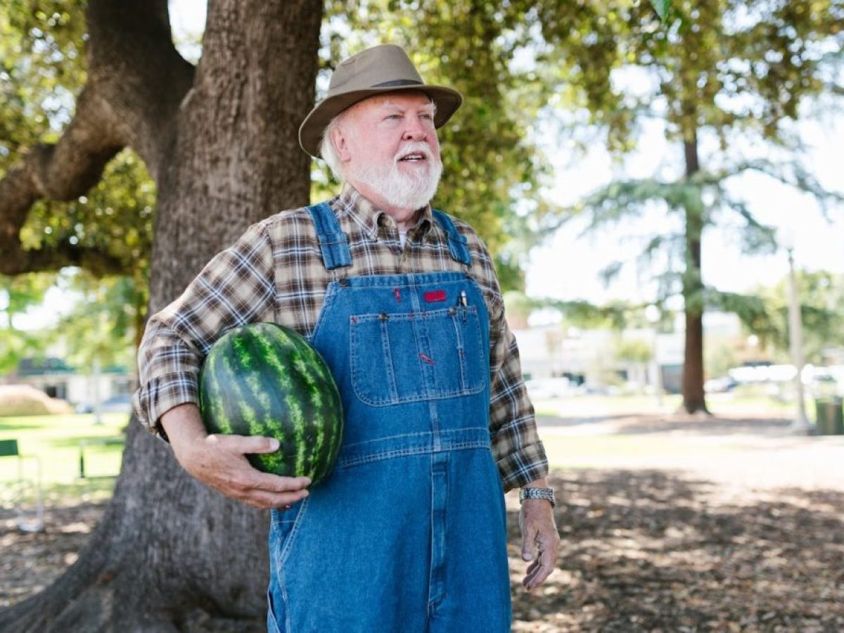 Πότε πάνε ταμείο οι συνταξιούχοι αγρότες, κτηνοτρόφοι