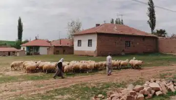 &Pi;&rho;&omicron;&sigma;&lambda;ή&psi;&epsilon;&iota;&sigmaf; &kappa;&tau;&eta;&nu;&iota;ά&tau;&rho;&omega;&nu; &alpha;&pi;ό &tau;&omicron;&nu; &Epsilon;&Lambda;&Gamma;&Alpha;