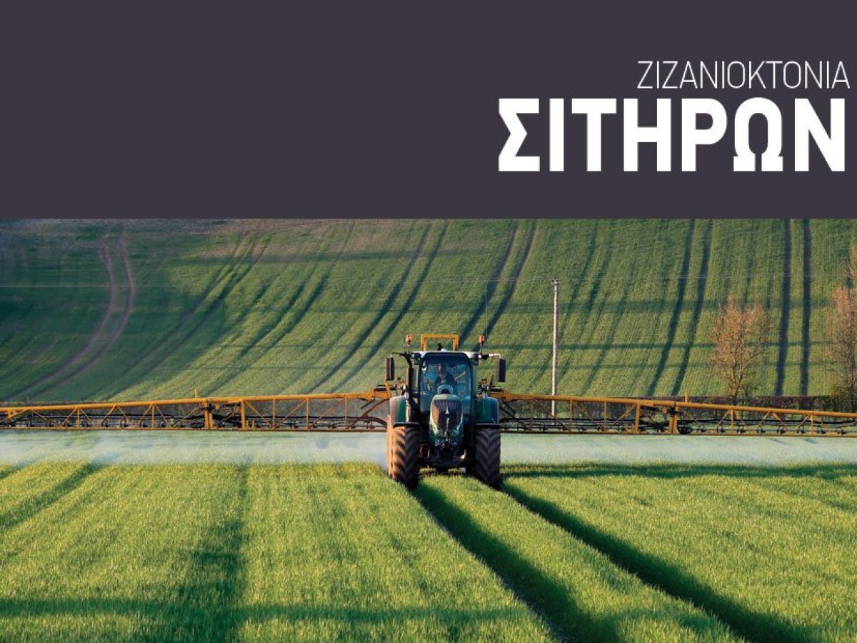 Προτάσεις μείωσης αθέμιτου ανταγωνισμού στα σιτηρά για πληθωρικές παραγωγές