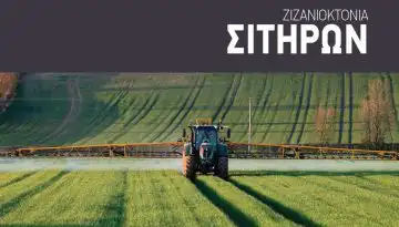 &Pi;&rho;&omicron;&tau;ά&sigma;&epsilon;&iota;&sigmaf; &mu;&epsilon;ί&omega;&sigma;&eta;&sigmaf; &alpha;&theta;έ&mu;&iota;&tau;&omicron;&upsilon; &alpha;&nu;&tau;&alpha;&gamma;&omega;&nu;&iota;&sigma;&mu;&omicron;ύ &sigma;&tau;&alpha; &sigma;&iota;&tau;&eta;&rho;ά &gamma;&iota;&alpha; &pi;&lambda;&eta;&theta;&omega;&rho;&iota;&kappa;έ&sigmaf; &pi;&alpha;&rho;&alpha;&gamma;&omega;&gamma;έ&sigmaf;