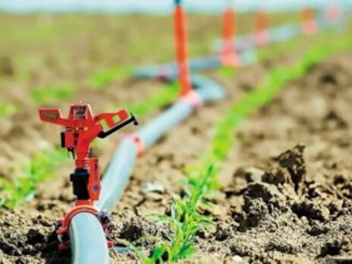 Ψυχρολουσία για αγρότες και χρήστες γεωτρήσεων: Μόνο από έναν αγρότη ζητήθηκαν πέραν των €110.000 για την περίοδο 2017 –