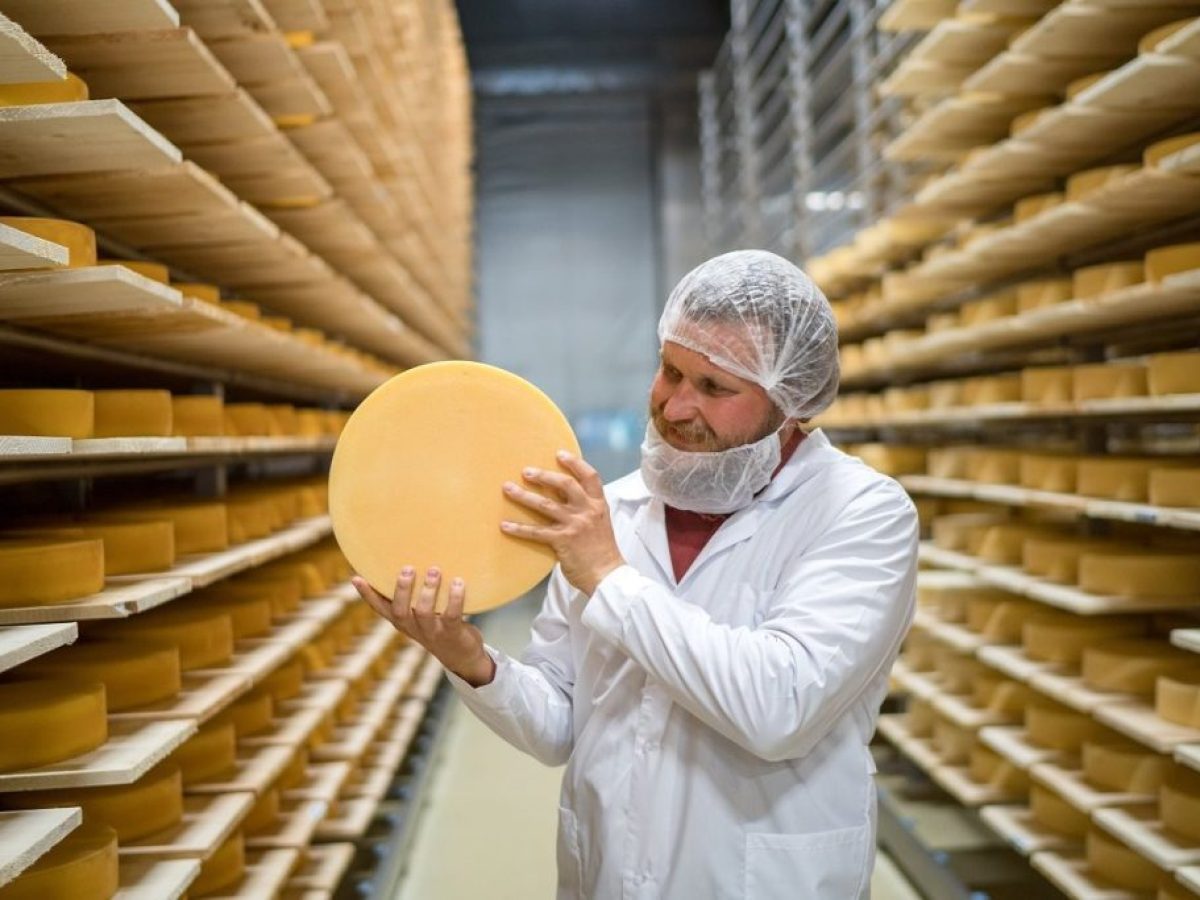 Πτώση 5% για εξαγωγές ρωσικών γαλακτοκομικών προϊόντων το 2025