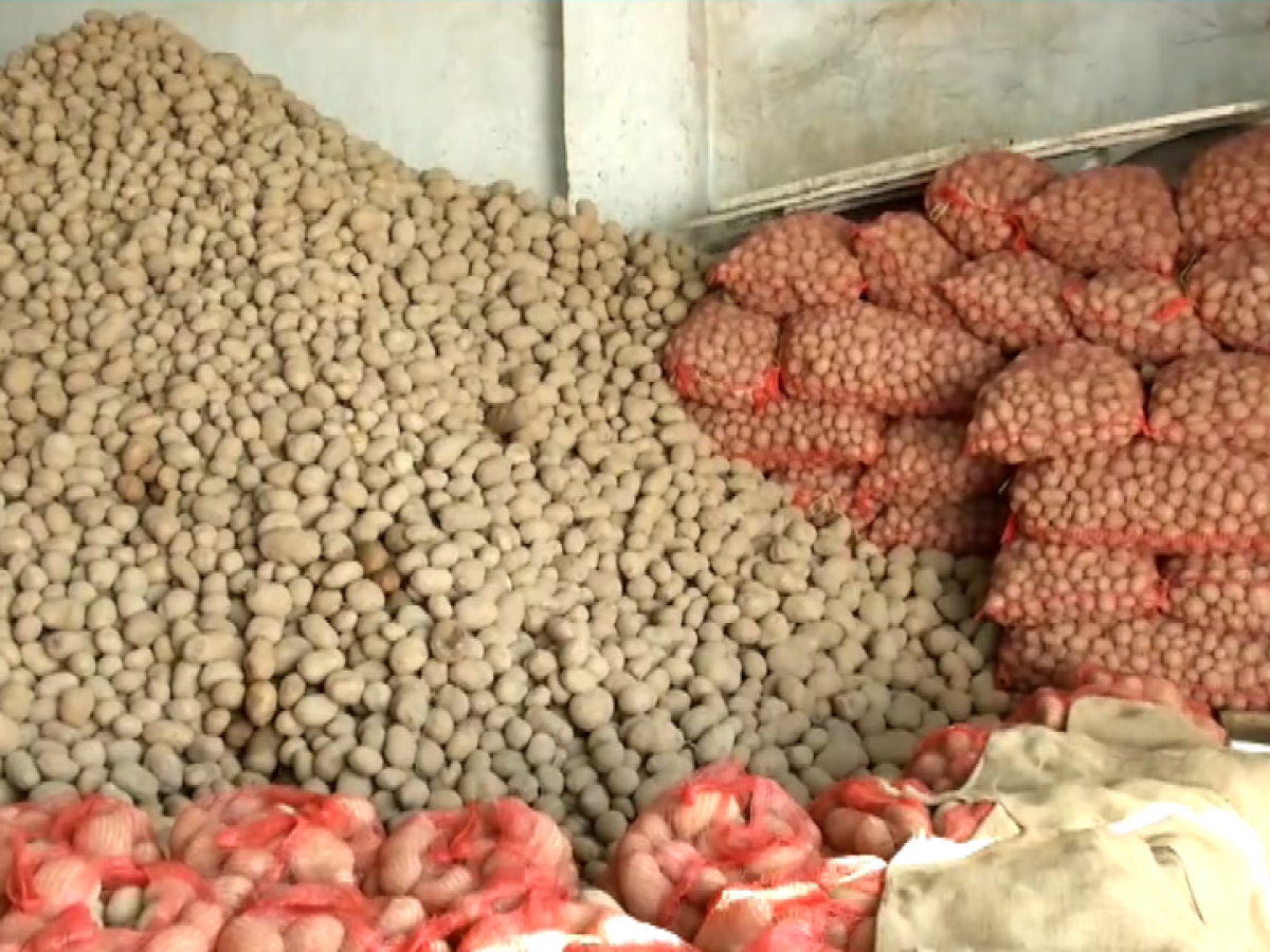 Σαπίζουν στις αποθήκες – Απούλητες οι περίφημες πατάτες της Άνω Βροντούς