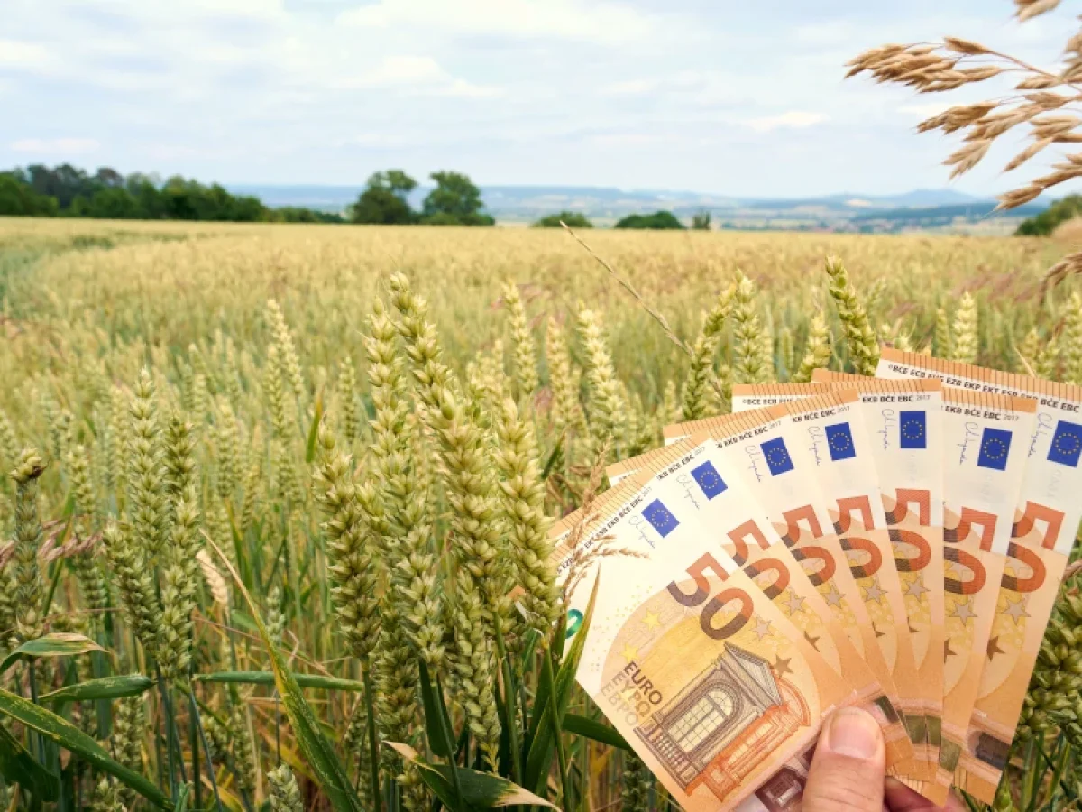 Συνδεδεμένες ενισχύσεις 2026