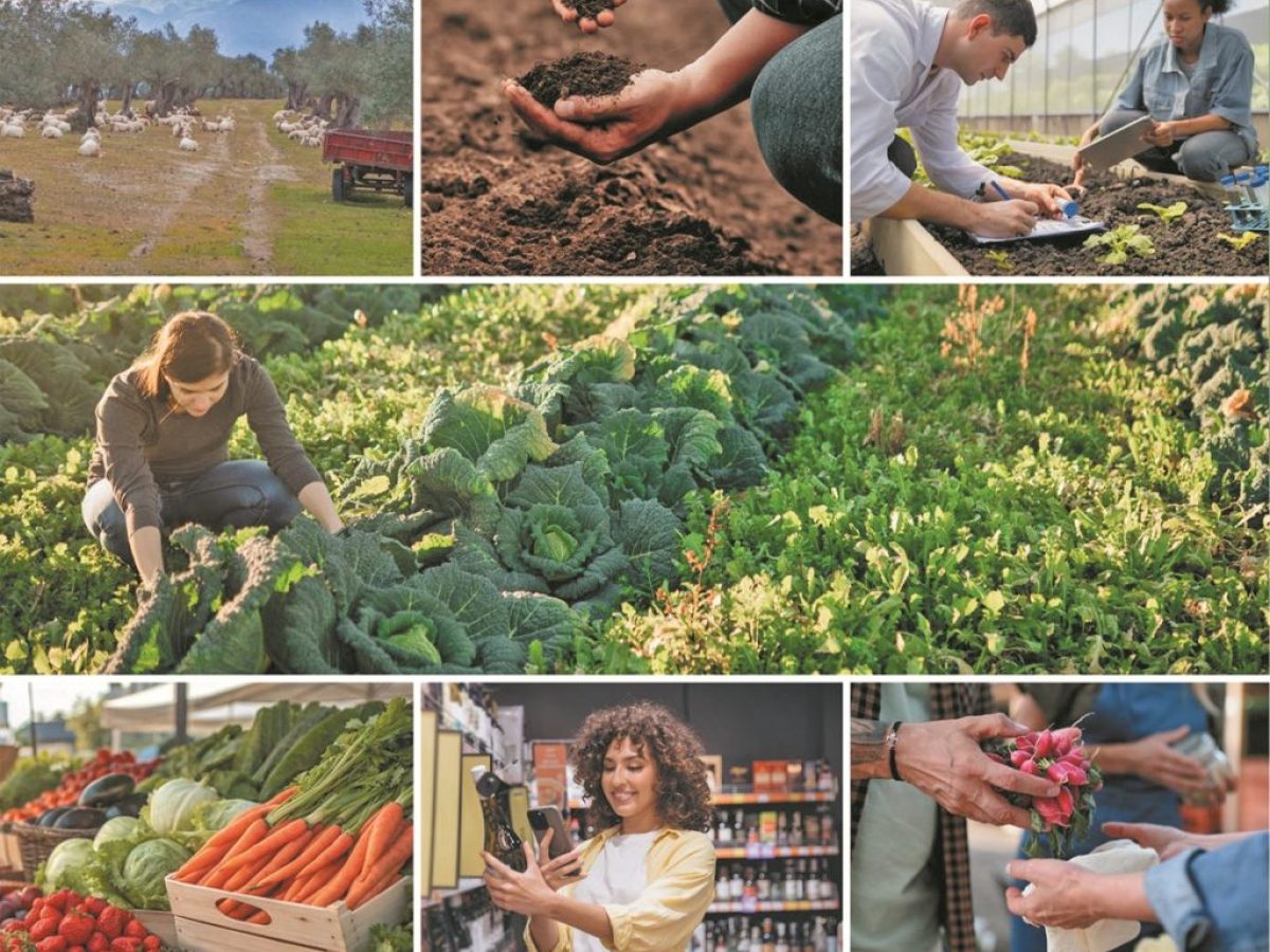 Στον δρόμο προς τη βιωσιμότητα μέσα από 12 ευρωπαϊκά έργα