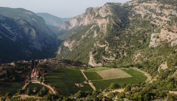 Ταξίδι στο χρόνο μέσα από εμβληματικά κρασιά του Κτήματος Μέγα Σπήλαιο