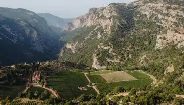 &Tau;&alpha;&xi;ί&delta;&iota; &sigma;&tau;&omicron; &chi;&rho;ό&nu;&omicron; &mu;έ&sigma;&alpha; &alpha;&pi;ό &epsilon;&mu;&beta;&lambda;&eta;&mu;&alpha;&tau;&iota;&kappa;ά &kappa;&rho;&alpha;&sigma;&iota;ά &tau;&omicron;&upsilon; &Kappa;&tau;ή&mu;&alpha;&tau;&omicron;&sigmaf; &Mu;έ&gamma;&alpha; &Sigma;&pi;ή&lambda;&alpha;&iota;&omicron;