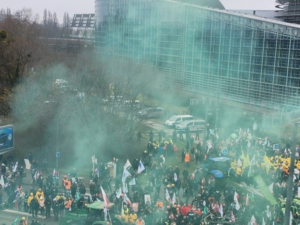 Το Ευρωκοινοβούλιο «πάγωσε» τη συμφωνία Mercosur