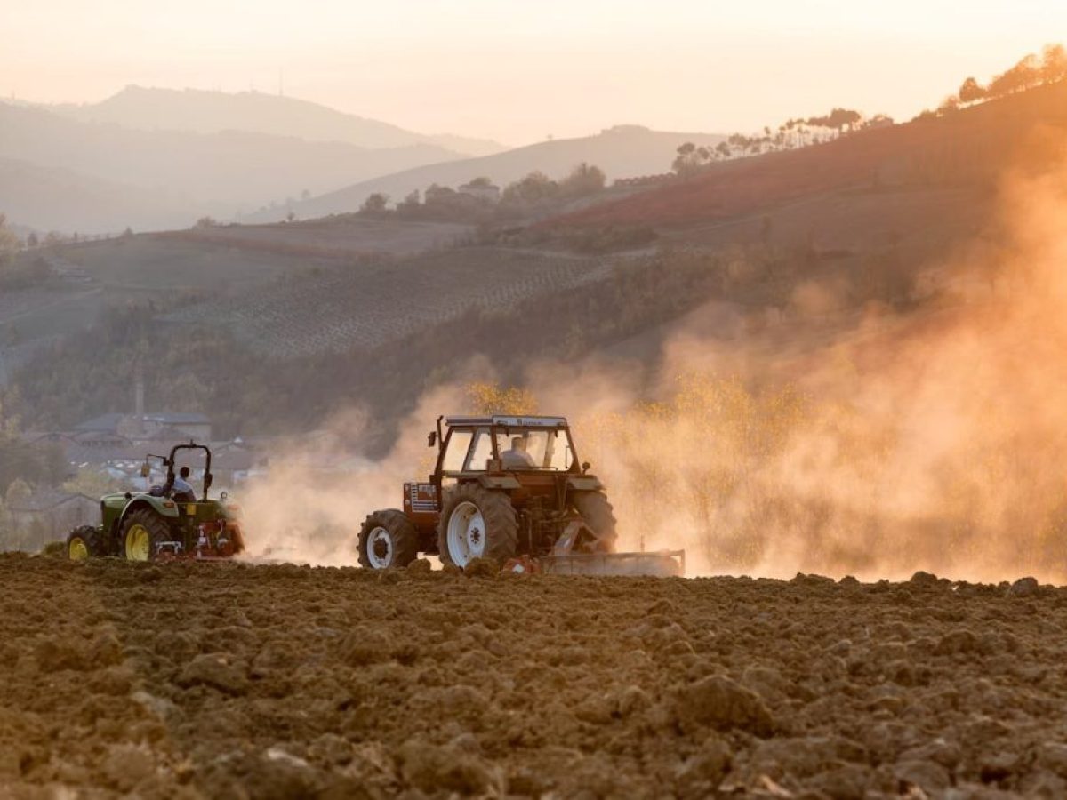 Τσιάρας: Ο διάλογος είναι η μόνη λύση για τα προβλήματα του πρωτογενούς τομέα