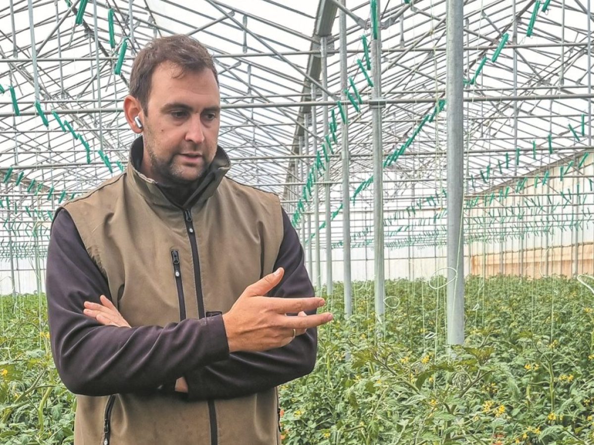 Αγρόκτημα Ντεμερούκα: Χτίζοντας το νέο μοντέλο θερμοκηπιακής ντομάτας στη Μεσσηνία