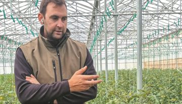 Αγρόκτημα Ντεμερούκα: Χτίζοντας το νέο μοντέλο θερμοκηπιακής ντομάτας στη Μεσσηνία