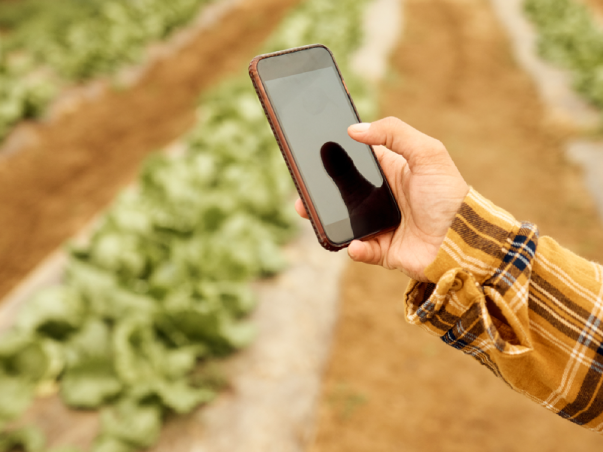 Αγροτικά προϊόντα:  Πώς θα λειτουργεί η εφαρμογή Agro-Verify